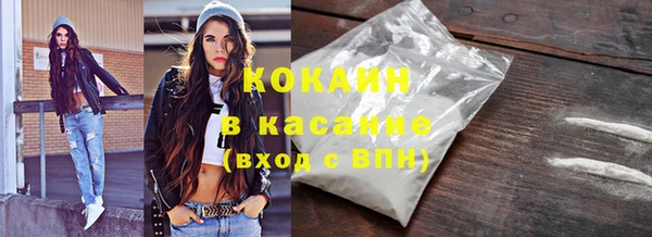 сатива Зерноград