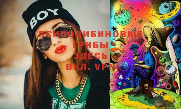 не бодяженный Новодвинск