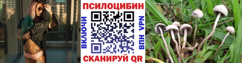 где найти   Невельск  Галлюциногенные грибы MAGIC MUSHROOMS 