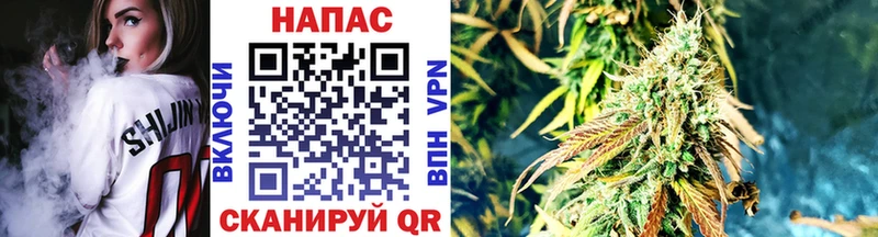 МАРИХУАНА планчик  маркетплейс клад  Невельск  купить  